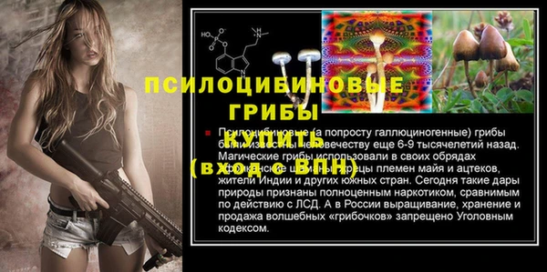 кокс Каменногорск