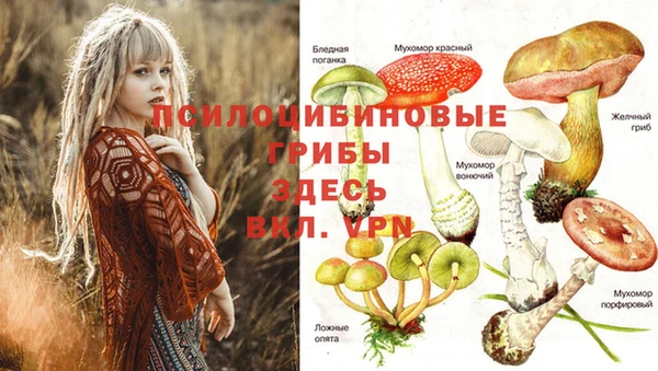 гашик Кинешма