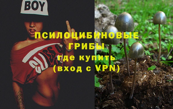 синтетический гашиш Касимов